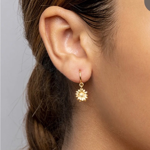Daisy earrings 14k gold vermeil - Picture 1 of 2